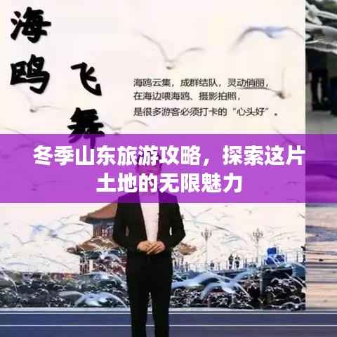 冬季山东旅游攻略,探索这片土地的无限魅力