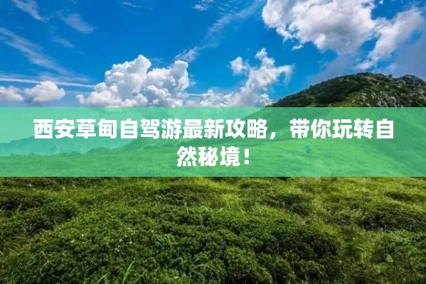 西安草甸自驾游最新攻略,带你玩转自然秘境!