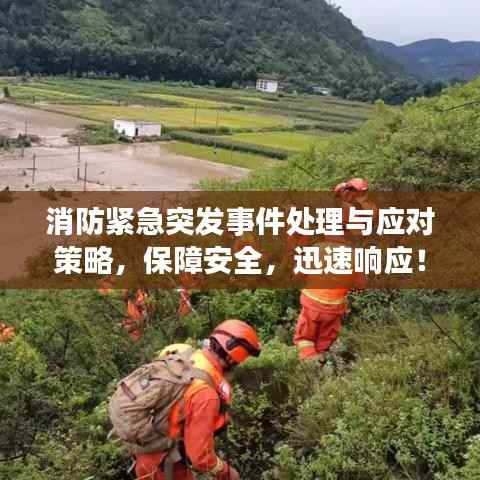 消防紧急突发事件处理与应对策略,保障安全,迅速响应!