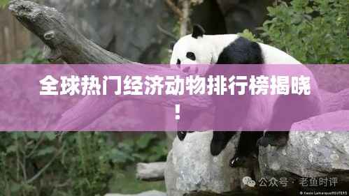 全球热门经济动物排行榜揭晓!