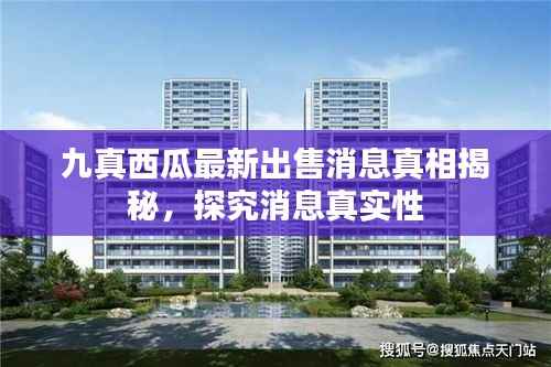 九真西瓜最新出售消息真相揭秘,探究消息真实性