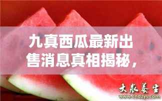 九真西瓜最新出售消息真相揭秘,探究消息真实性