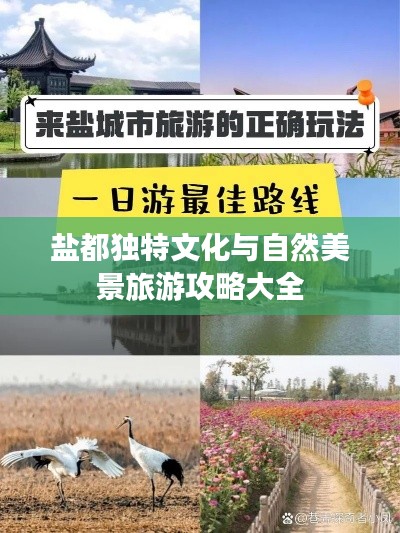 盐都独特文化与自然美景旅游攻略大全