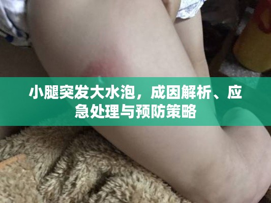 小腿突发大水泡,成因解析、应急处理与预防策略