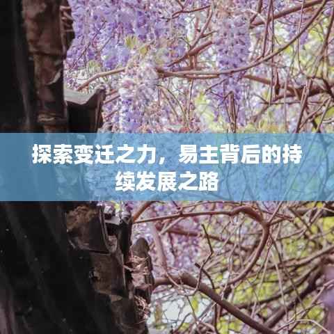 口若悬河 第4页