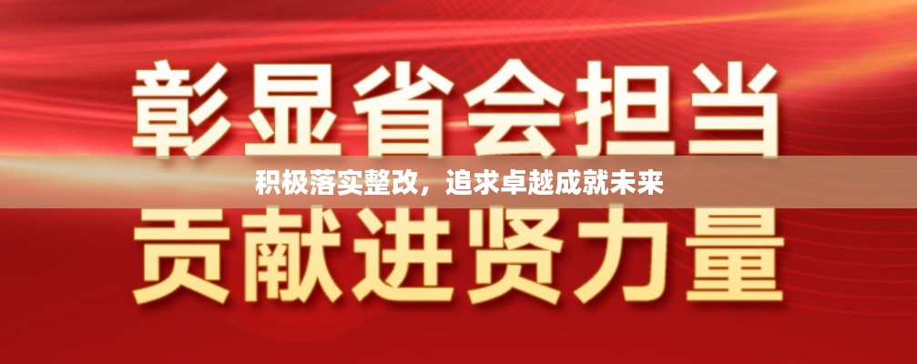 积极落实整改,追求卓越成就未来