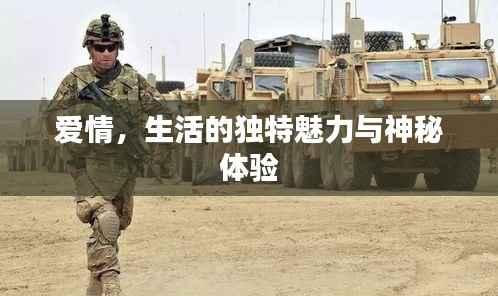 爱情,生活的独特魅力与神秘体验