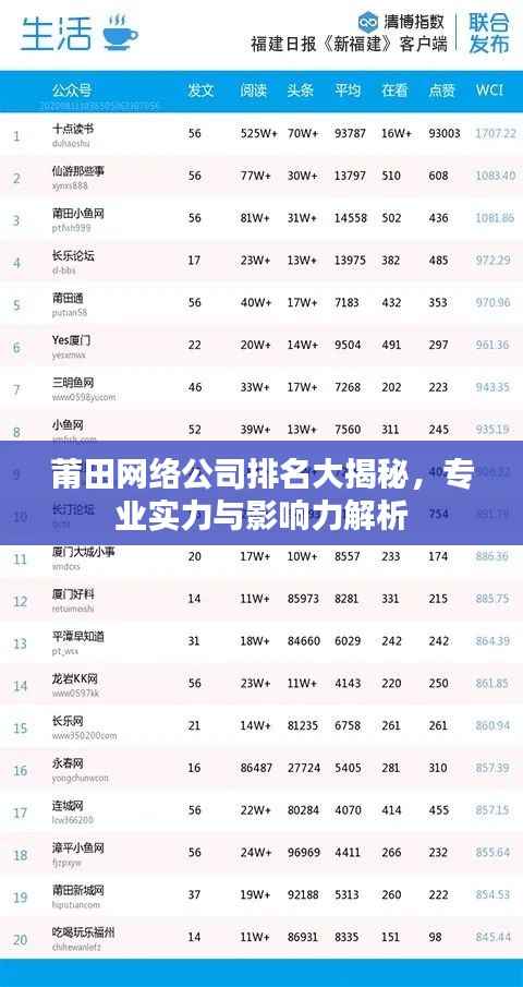莆田网络公司排名大揭秘,专业实力与影响力解析