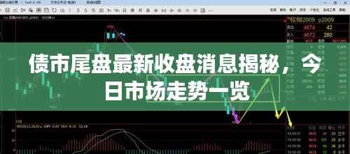 打张鸡儿 第5页