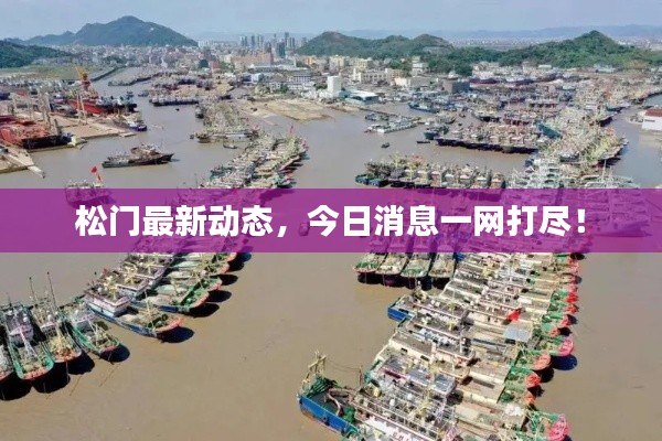 松门最新动态,今日消息一网打尽!
