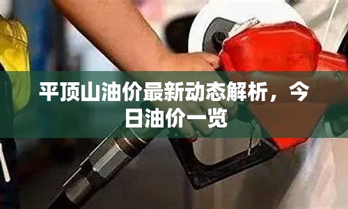 平顶山油价最新动态解析,今日油价一览