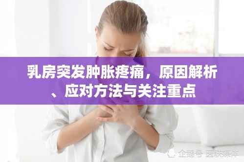 乳房突发肿胀疼痛,原因解析、应对方法与关注重点