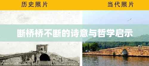 断桥桥不断的诗意与哲学启示
