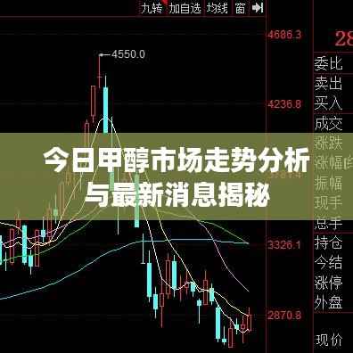 今日甲醇市场走势分析与最新消息揭秘