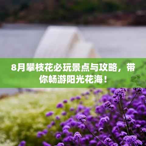 8月攀枝花必玩景点与攻略,带你畅游阳光花海!
