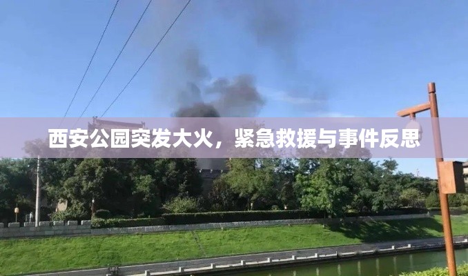 西安公园突发大火,紧急救援与事件反思