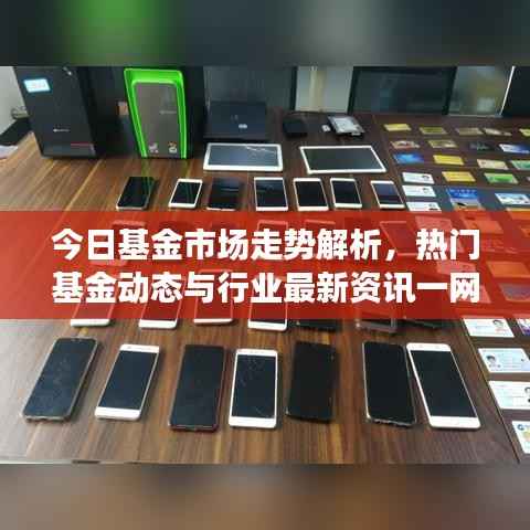 今日基金市场走势解析,热门基金动态与行业最新资讯一网打尽