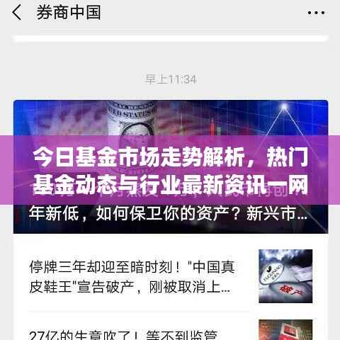 今日基金市场走势解析,热门基金动态与行业最新资讯一网打尽