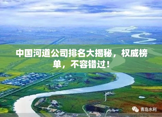 中国河道公司排名大揭秘,权威榜单,不容错过!