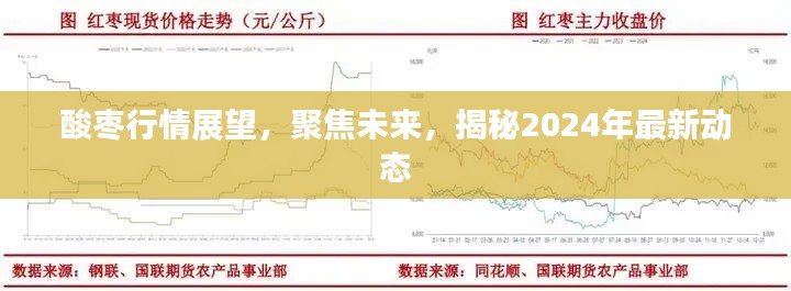 酸枣行情展望,聚焦未来,揭秘2024年最新动态