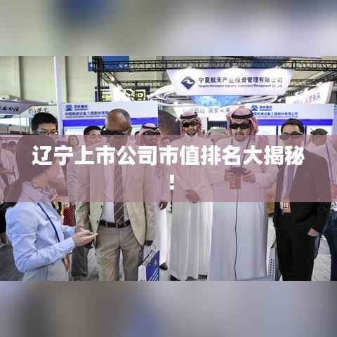 辽宁上市公司市值排名大揭秘！