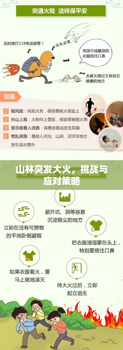 山林突发大火,挑战与应对策略