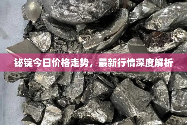 铋锭今日价格走势,最新行情深度解析