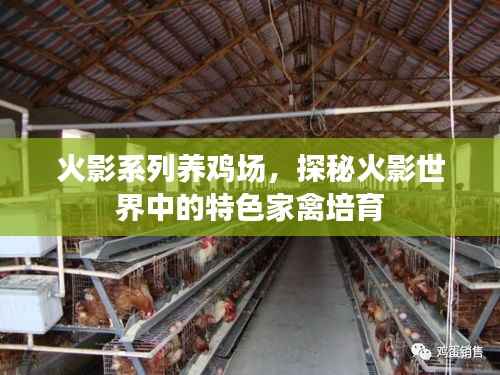 火影系列养鸡场,探秘火影世界中的特色家禽培育