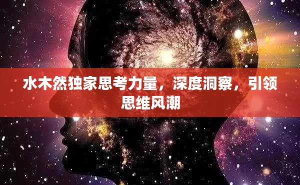 水木然独家思考力量,深度洞察,引领思维风潮