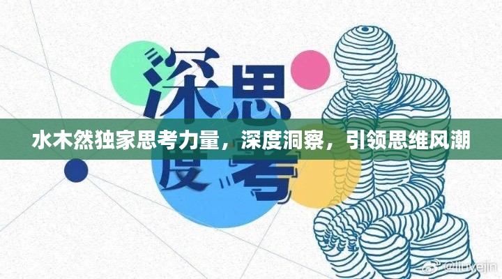 水木然独家思考力量,深度洞察,引领思维风潮
