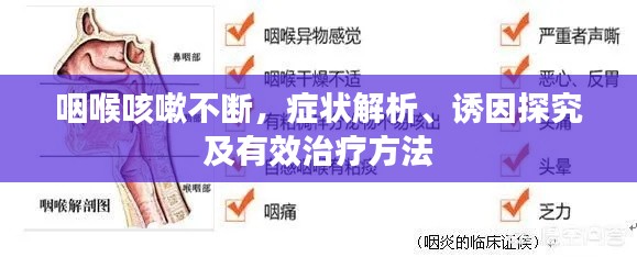 咽喉咳嗽不断,症状解析、诱因探究及有效治疗方法
