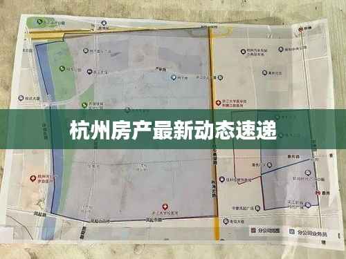 杭州房产最新动态速递