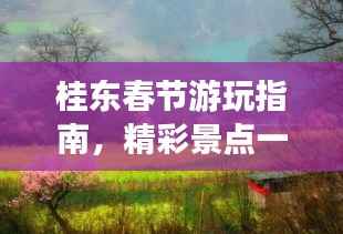 桂东春节游玩指南,精彩景点一网打尽!