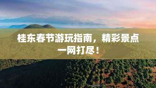 桂东春节游玩指南,精彩景点一网打尽!