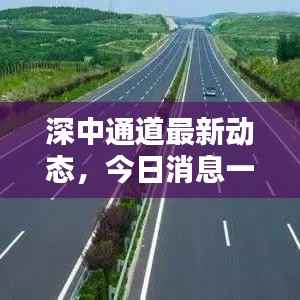 深中通道最新动态，今日消息一网打尽！
