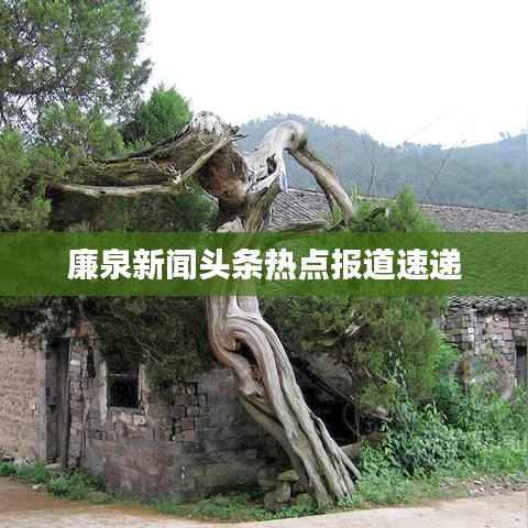 廉泉新闻头条热点报道速递