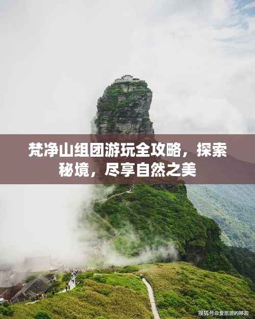 梵净山组团游玩全攻略,探索秘境,尽享自然之美