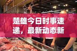 楚雄今日时事速递,最新动态新闻概览