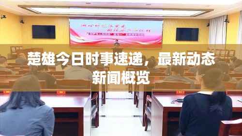 楚雄今日时事速递,最新动态新闻概览