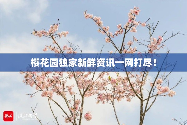 樱花园独家新鲜资讯一网打尽!