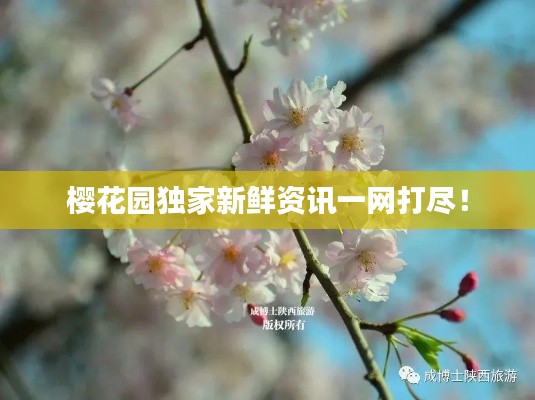 樱花园独家新鲜资讯一网打尽!