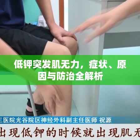 低钾突发肌无力，症状、原因与防治全解析