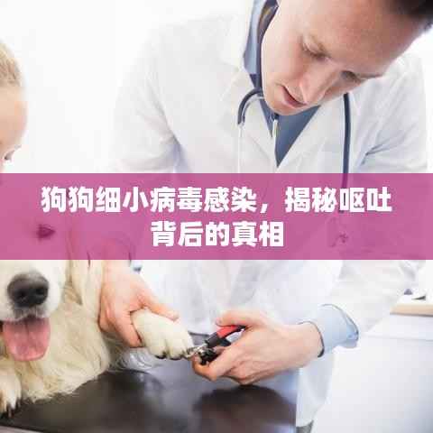 一毫不苟 第5页