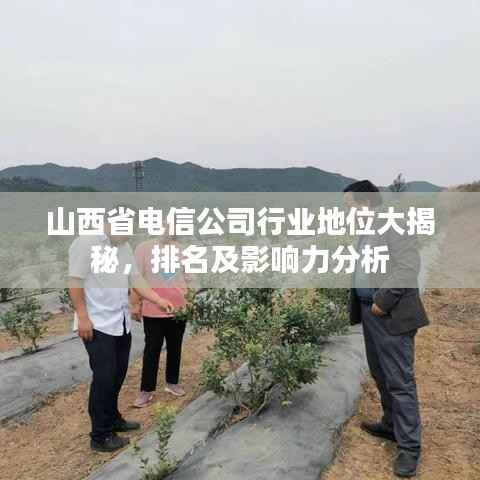 山西省电信公司行业地位大揭秘,排名及影响力分析