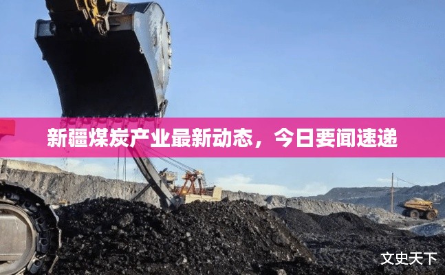 新疆煤炭产业最新动态,今日要闻速递