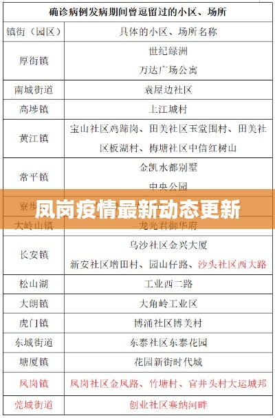 凤岗疫情最新动态更新