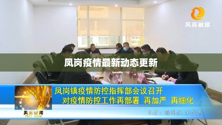 凤岗疫情最新动态更新
