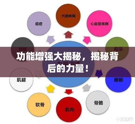 功能增强大揭秘,揭秘背后的力量!