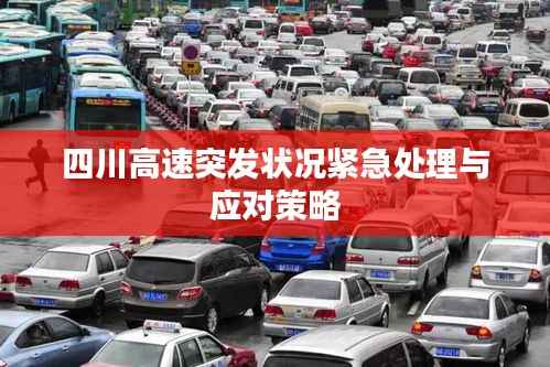四川高速突发状况紧急处理与应对策略