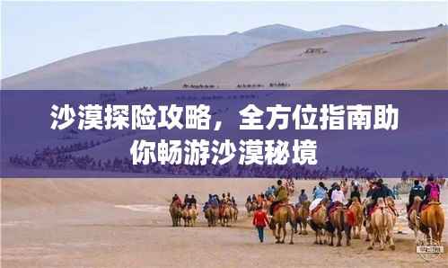 沙漠探险攻略，全方位指南助你畅游沙漠秘境